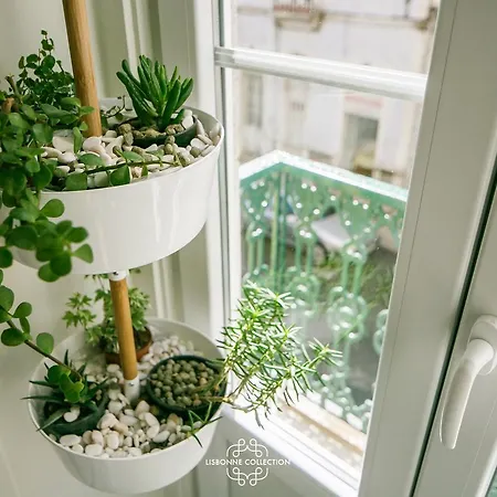 Apartment Very And Charming 60 By Lisbonne Collection Lisbon
